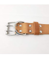 Lifegard Leather Dog Collar Plane Dark Tan - Large (K900001TN-L)