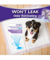 Hartz Home Protection Odor Eliminating Scented Dog Pads, Super Absorbent & Won