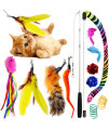 SillyPet Youngever 12 Pieces Cat Toys Teasing Feather Toy, Retractable Wand with Assorted Teaser Refills, Interactive Feather Teaser Wand Toy Bell Kitten Cat Having Fun Exerciser Playing