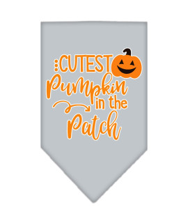 Mirage Pet Product cutest Pumpkin in The Patch Screen Print Bandana grey Small