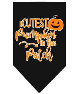 Mirage Pet Product cutest Pumpkin in The Patch Screen Print Bandana Black Large