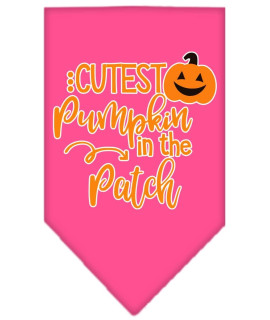 Mirage Pet Product cutest Pumpkin in The Patch Screen Print Bandana Bright Pink Small