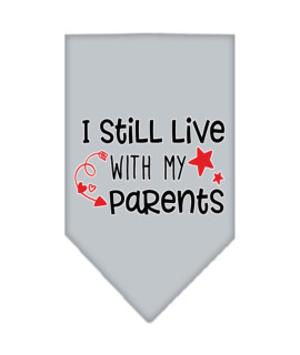 Still Live with My Parents Screen Print Pet Bandana grey Small