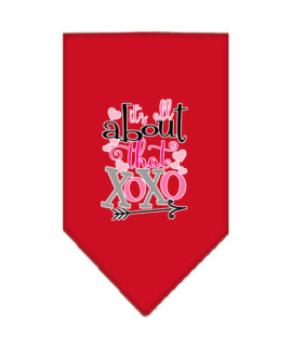 Mirage Pet Product All About That XOXO Screen Print Bandana Red Large