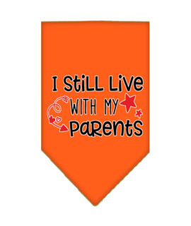 Mirage Still Live with My Parents Screen Print Pet Bandana Orange Small