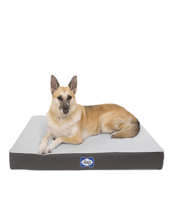 Sealy Dog Bed Defender Series, IPX5 Certified Indoor/Outdoor Dog Bed, Large Grey (94604)
