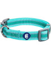 Blueberry Pet Essentials Reflective Back To Basics Adjustable Dog Collar, Minty Green, Medium, Neck 14.5-20