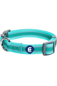 Blueberry Pet Essentials Reflective Back To Basics Adjustable Dog Collar, Minty Green, Medium, Neck 14.5-20