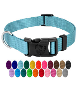 Country Brook Petz - 30+ Vibrant Colors - American Made Deluxe Nylon Dog Collar with Buckle (Mini, 3/8 Inch Wide, Ocean Blue)