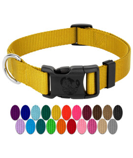 Country Brook Petz - 30+ Vibrant Colors - American Made Deluxe Nylon Dog Collar with Buckle (Mini, 3/8 Inch Wide, Gold)