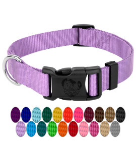 Country Brook Petz - 30+ Vibrant Colors - American Made Deluxe Nylon Dog Collar with Buckle (Micro, 3/4 Inch Wide, Lavender)