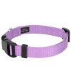 Country Brook Petz - 30+ Vibrant Colors - American Made Deluxe Nylon Dog Collar with Buckle (Extra Small, 3/8 Inch Wide, Lavender)