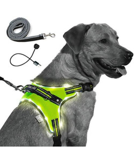 MelonTail Light Up Dog Harness with Bungee Leash-Rechargeable LED Light Dog Vest for Night Walking-Reflective Illuminated Harness for Extra Visibility-Glow in The Dark Lighted Vest for Dogs (Large)