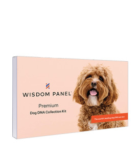Wisdom Panel Premium: Most Comprehensive Dog DNA Test for 200+ Health Tests | Accurate Breed ID and Ancestry | Traits | Relatives | Genetic Diversity | Vet Consult | 1 Pack