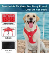 BARKBAY No Pull Dog Harness Large Step in Reflective Dog Harness with Front Clip and Easy Control Handle for Walking Training Running with ID tag Pocket(Red,M)