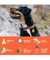 American Pet Supplies ZeroBugs PET, Ultrasonic Tick and Flea Wearable Repellent for Pets, Black