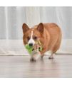 Star Wars Dog Toy Yoda 6 Inch Plush Flattie Dog Toy | Small Yoda Dog Toy, Small Dog Chew Toy for All Dogs | Flat Dog Toy, Stuffingless Dog Toy for Pets