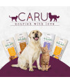 Caru - Daily Dish Smoothies - Lickable Tuna Cat Treat - 4 Pack.5oz Tubes