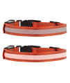 TOP PAW LED + Reflective Orange Dog Collar~Large~