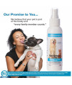 Dog Breath Freshener: Eliminate Bad Breath and Prevent Oral Disease in Dogs and Cats - Teeth Cleaning Spray with Aloe Vera - Plaque and Tartar Remover, Oral Hygiene for Pets (Net 4 FL OZ (118 ml)) x3