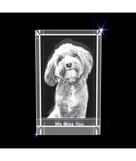 Personalized Pet 3D Engraved Crystal Photo Gift (Xl Rectangle)