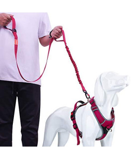 AdventureMore No-Pull Dog Harness Leash Set, Overhead No-Choke Reflective Safety Breathable Sport Vest with 5 ft Double Handle Dog Leash