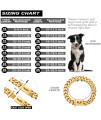 W/W Lifetime Gold Dog Chain Collar Walking Metal Chain Collar with Design Secure Buckle,18K Cuban Link Strong Heavy Duty Chew Proof for Medium Dogs(19MM, 15)
