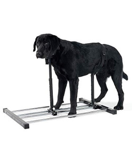 Kinbelle Adjustable Grooming Breeding Stand with Collars Dog Reproduction Bracket