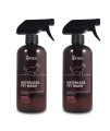 The Spruce Waterless Pet Wash, No Rinse Moisturizing Shampoo forAPetsA- Daily Pet care - cleaning, cleansing, and conditioning for Dogs, Puppies, and cats - Oatmeal, 17oz, 2 Pack