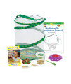 Butterfly garden: Original Habitat and Live cup of caterpillars with STEM Butterfly Journal - Life Science STEM Education - Butterfly Science Kit