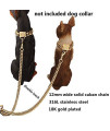 Aiyidi Double Leash for Two Dogs, Heavy Duty Stainless Steel Cuban Chain,Metal Double Clip Leash, 3 Sizes, Suitable for Dogs of Different Weights, Easily Accompany 2 Dogs Walking & Training Leash