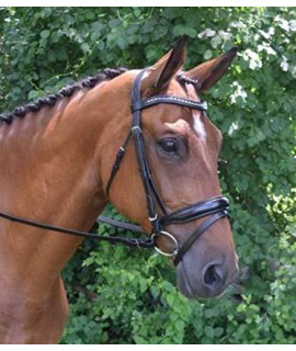 KL Select Red Barn Topline Black Flash Bridle Pony Size