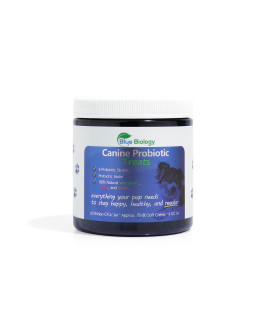 BlueBiology Canine Probiotic - Vet Formulated Probiotics for Dogs - Digestive & Diarrhea Support - All Breeds - Immune Support - 60ct Soft Chew Canine Probiotic Supplements