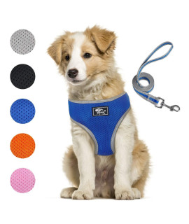 Puppy Harness And Leash Set - Dog Vest Harness For Small Dogs Medium Dogs- Adjustable Reflective Step In Harness For Dogs - Soft Mesh Comfort Fit No Pull No Choke (L, Blue)