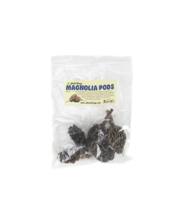 Josh's Frogs Magnolia Pods (Includes 5 Pods)