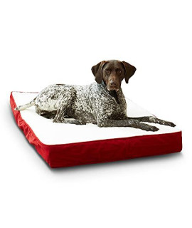 Happy Hounds Oscar Orthopedic Medium (42 x 30 in.) Red Rectangle Pillow Style Dog Bed