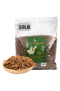 10 lbs Dried Mealworms, 100% Non-GMO Natural High-Protein,Treats for Chicken, Fish, Bird Food (10LB)