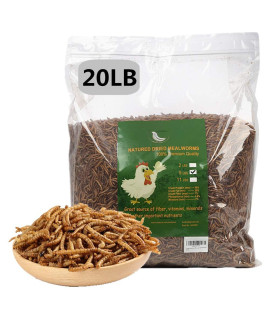 20 lbs Dried Mealworms, 100% Non-GMO Natural High-Protein,Treats for Chicken, Fish, Bird Food(20LB)