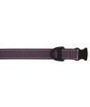 KONG Max Ultra Durable Dog Collar (XL, Purple)