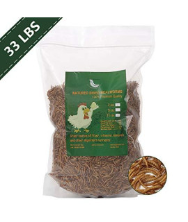HANDPOINT 33 lbs Dried Mealworms, 100% Non-GMO Natural High-Protein,Treats for Chicken, Fish, Bird Food(33LB)
