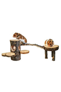 Hamster Natural Wooden Cage Toy Sets, Small Pets Apple Wood Play Ground, Rats Climbing Platform with Wood Bridge/Food Bowl/Tunnel/Ladders, Teeth Care Molar Toys Accessories