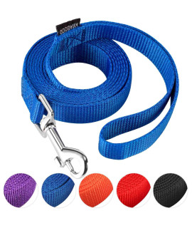 AMAGOOD 6 FT Puppy/Dog Leash, Strong and Durable Traditional Style Leash with Easy to Use Collar Hook,Dog Lead Great for Small and Medium and Large Dog (3/4 in x 6 ft(Pack of 1), Blue)
