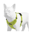 Voyager Step-in Lock Pet Harness - All Weather Mesh, Adjustable Step in Harness for Cats and Dogs by Best Pet Supplies - Lime Green, S