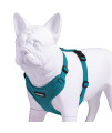 Voyager Step-in Lock Pet Harness - All Weather Mesh, Adjustable Step in Harness for Cats and Dogs by Best Pet Supplies - Turquoise, XS