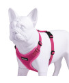 Voyager Step-in Lock Pet Harness - All Weather Mesh, Adjustable Step in Harness for Cats and Dogs by Best Pet Supplies - Fuchsia, M