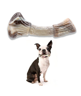 PETSLA Dog Toy for Aggressive chewers Small Breed Durable Dog chew Toy Made with Hard Nylon Tough Dog Toy for Small Dogs and Teething Puppies (Nylon Antler Bone, Dogs up to 22 lb)