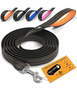 Active Pets Strong Dog Leash with Padded Handle, 4 Sizes from Puppy Leash to 6ft Dog Leash for Large Dogs, Dog Leash 6ft-4ft Long, Comfortable 6ft Dog Leash for Big Dogs & Dog Leash for Medium Dogs