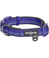 Blueberry Pet Soft & Safe 3M Reflective Neoprene Padded Adjustable Dog Collar - Violet Pastel Color, Medium, Neck 145-20