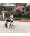 4-Wheel Adjustable Dog Wheelchair, Hindlimb Pet Rehabilitation Training, Suitable for Disabled/Fragile Dogs/Pets.