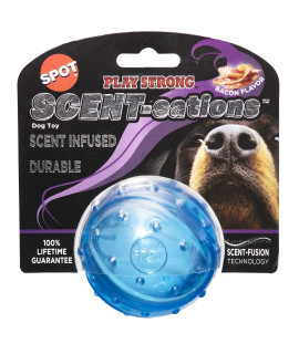 SPOT Play Strong Scent-sations Bacon Flavor Ball 3.25A Dog Toys for Aggressive chewers Ball chew Toys for Aggressive Dogs Interactive Dog Toy Dog chew Toys for Aggressive chewers Blue